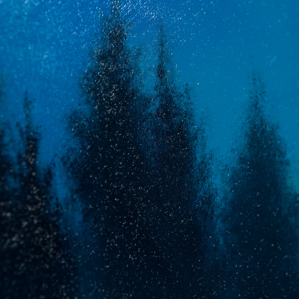 LCO ORI LAN 31229 There s No Hurry 6