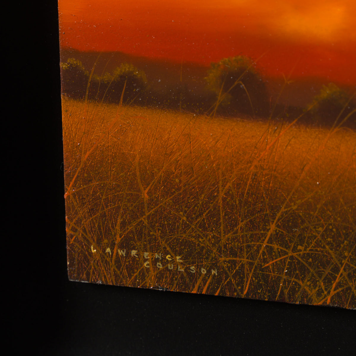 LCO ORI LAN 32592 Autumn Wonder 3