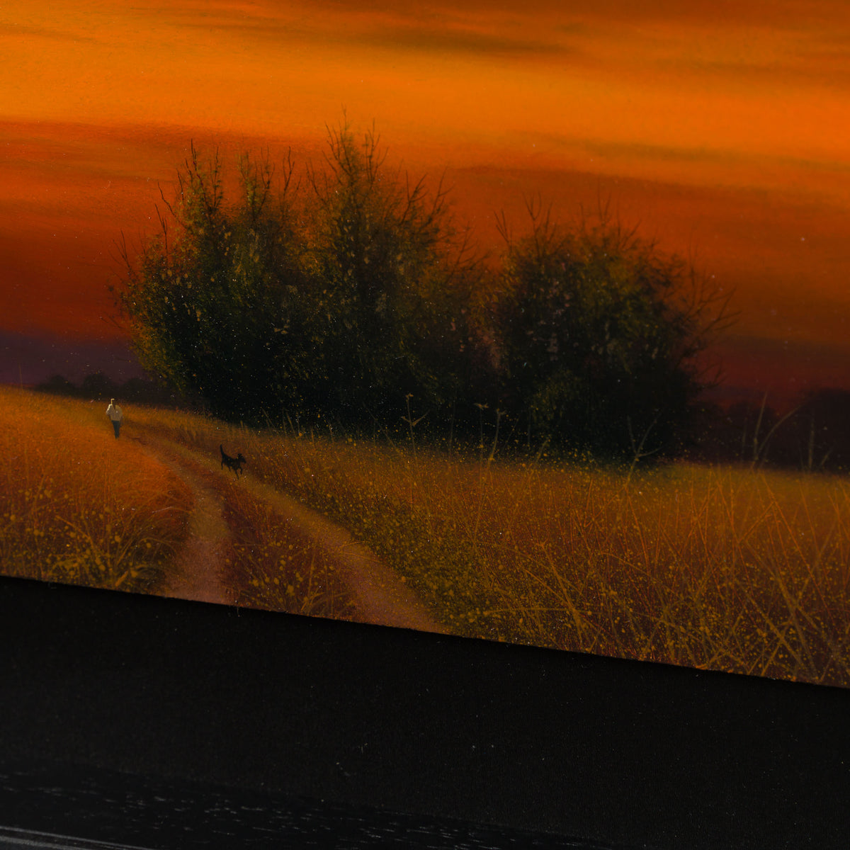 LCO ORI LAN 32592 Autumn Wonder 5