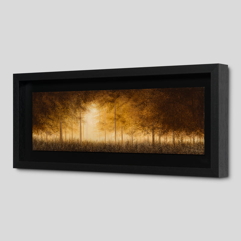 LCO ORI LAN 32595 The Beauty Of Silence 2