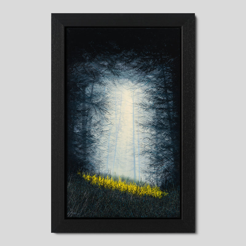 LCO ORI LAN 34142 A Secret Place 1