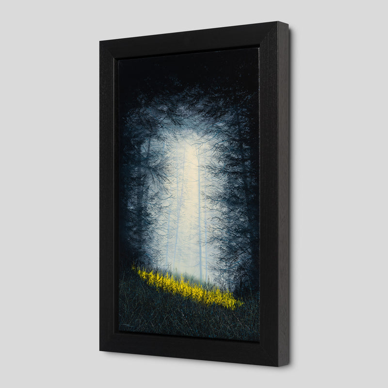 LCO ORI LAN 34142 A Secret Place 2