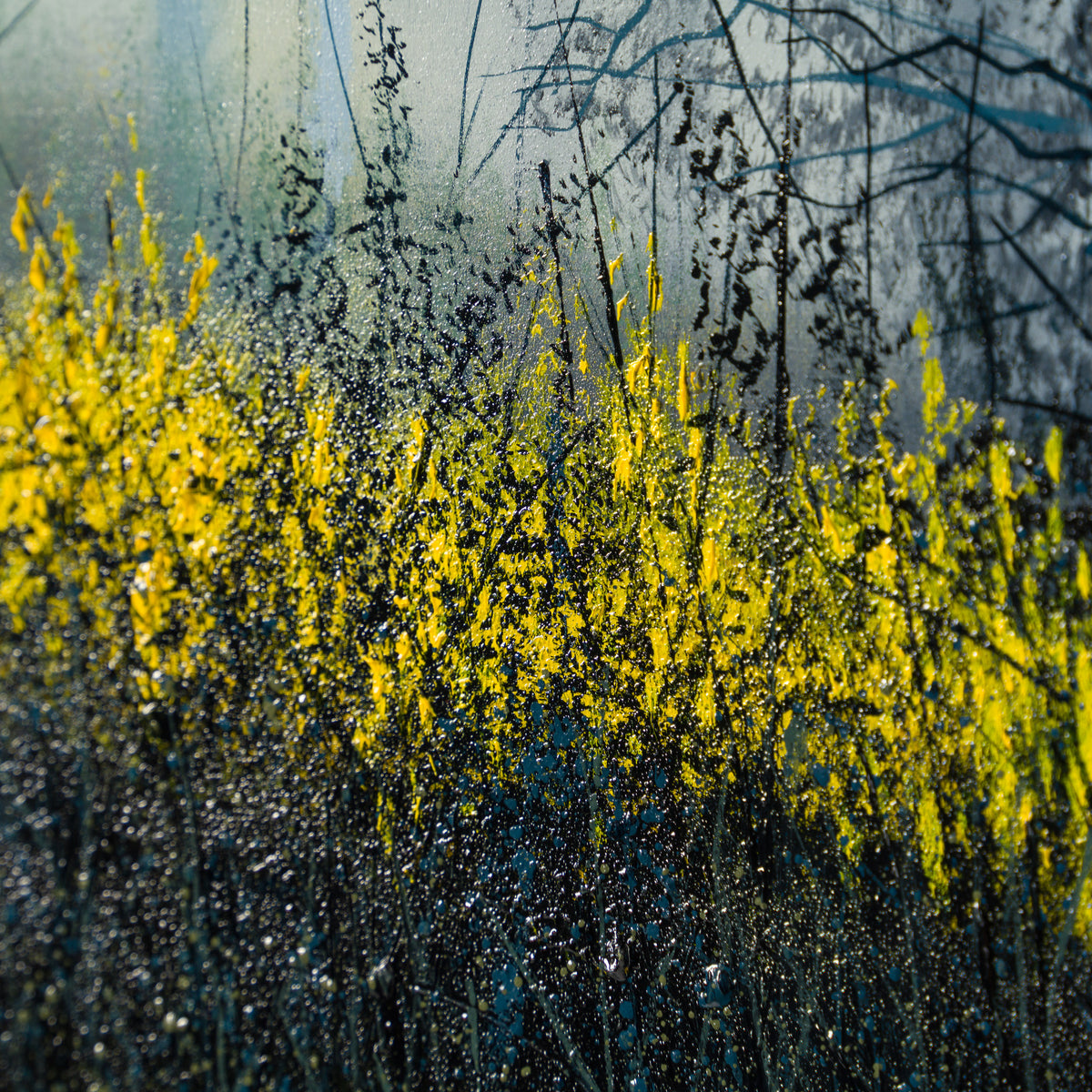 LCO ORI LAN 34142 A Secret Place 5