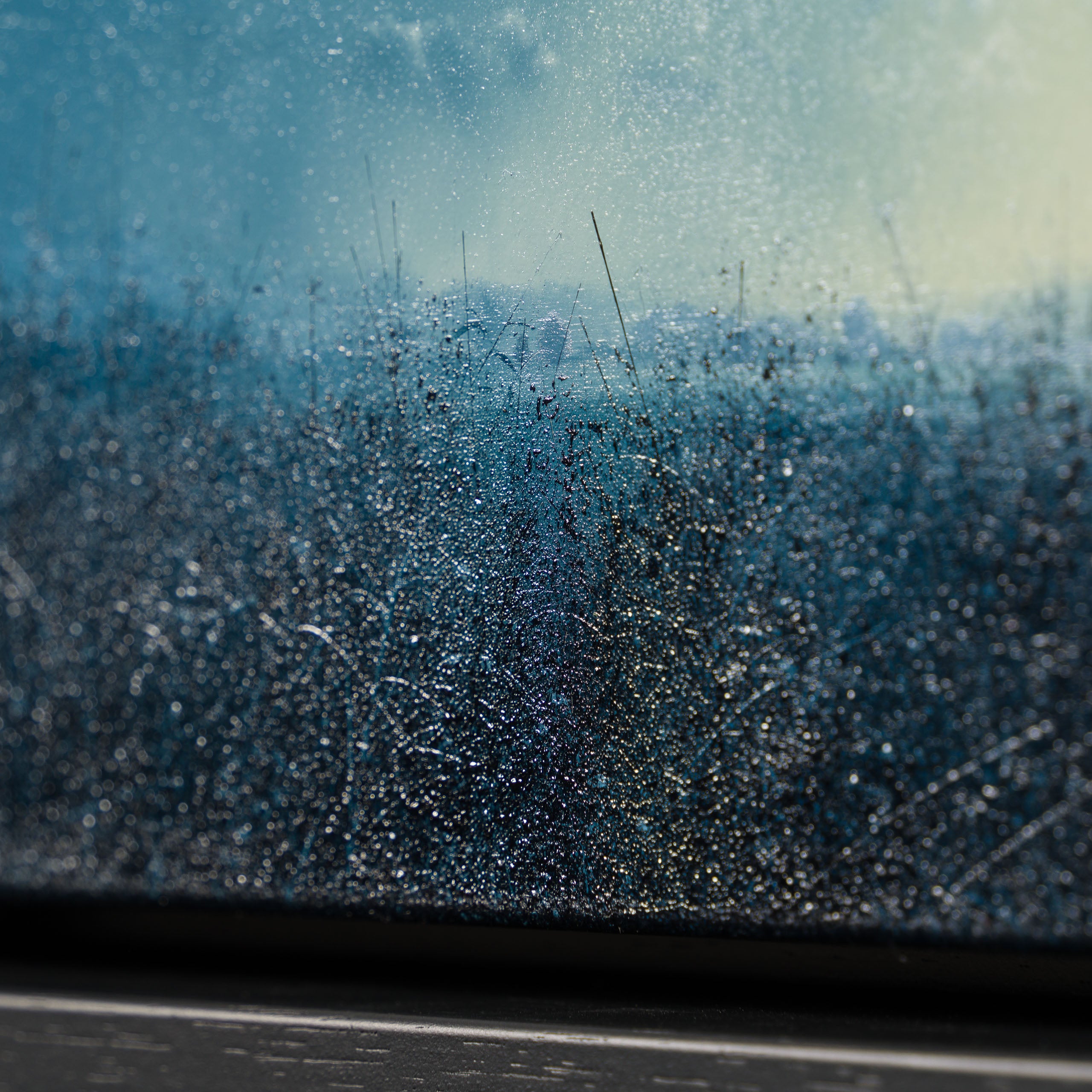 LCO ORI LAN 34626 Out Of The Shadows 7