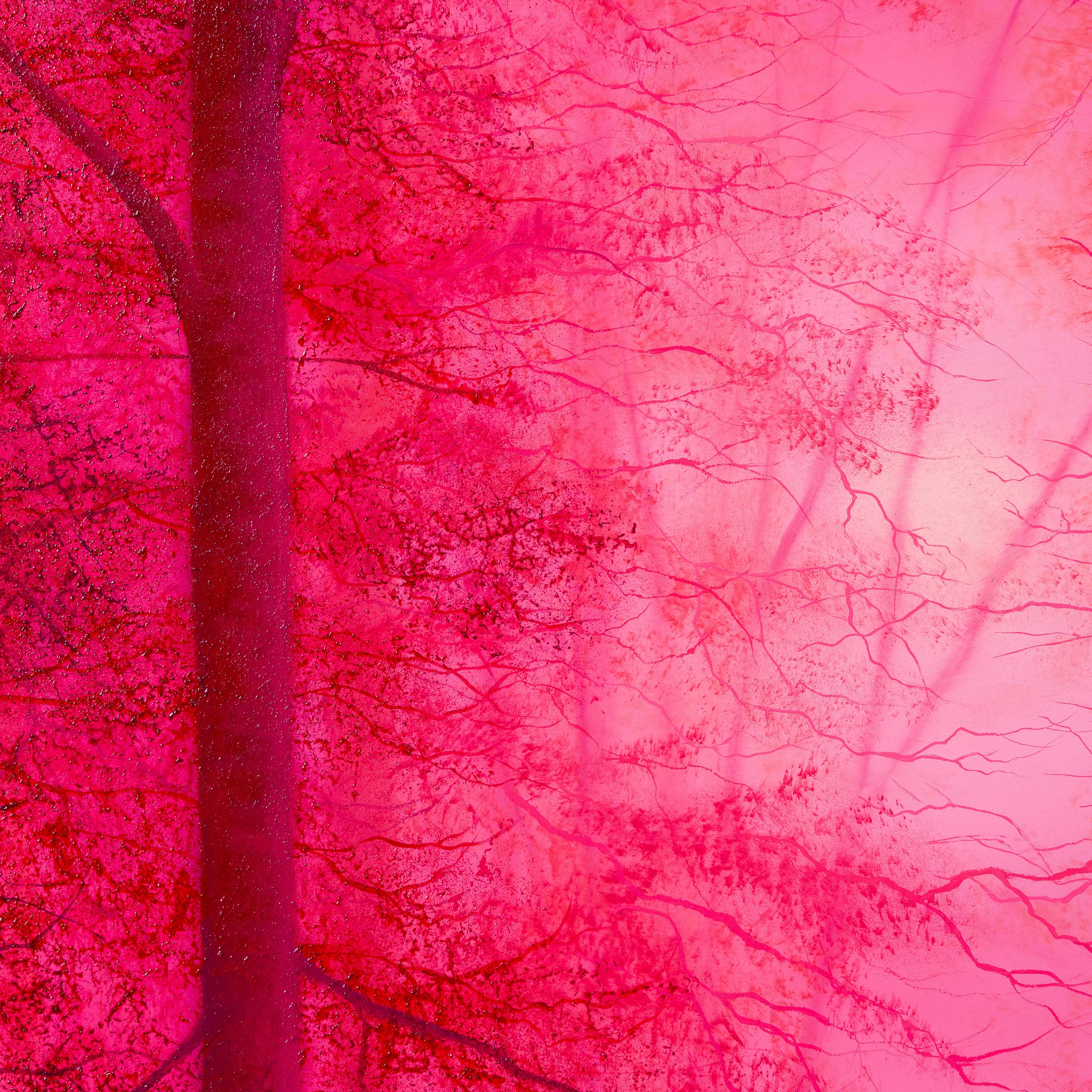 LCO ORI LAN 35245 Give Us Peace 4