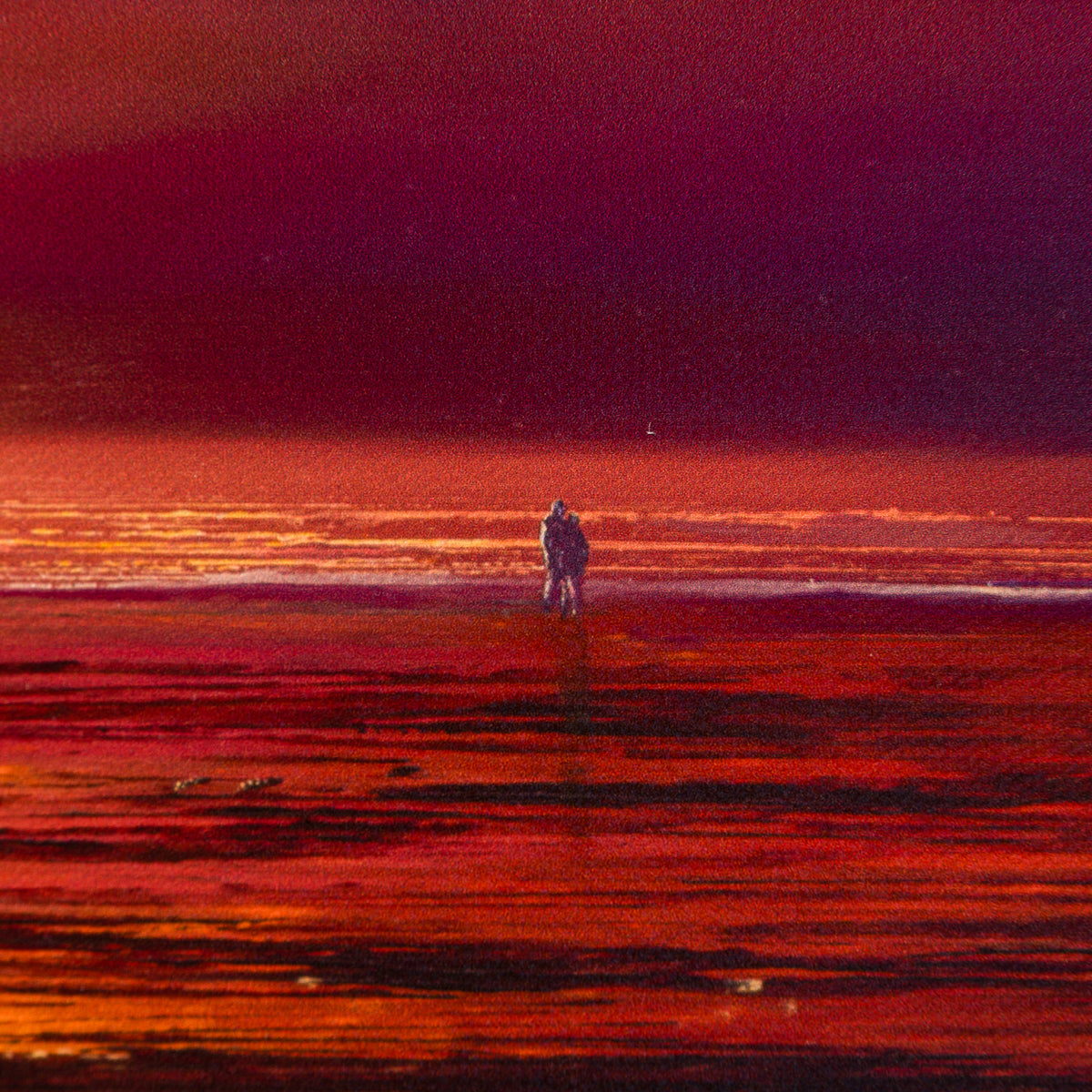 LCO You re My Flame 4