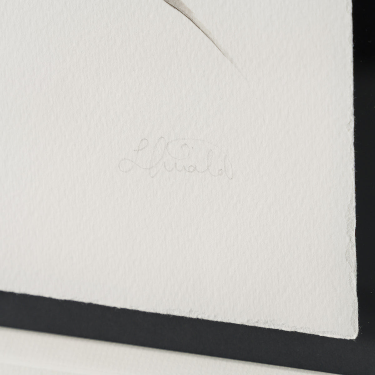 LTI SLE POR 04477 5 Lauren