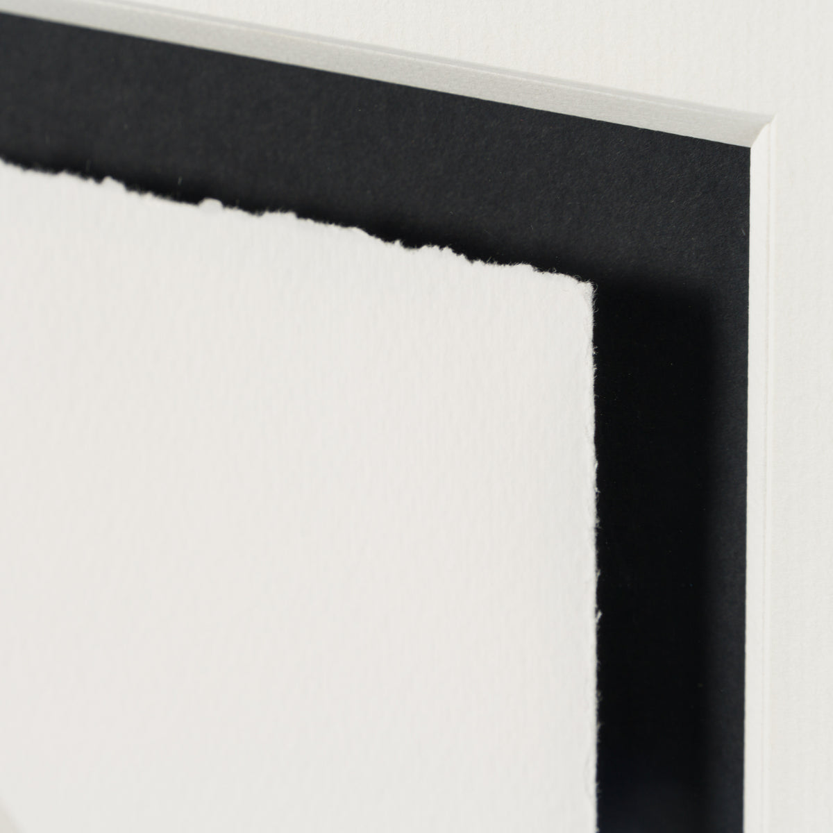 LTI SLE POR 04477 6 Lauren