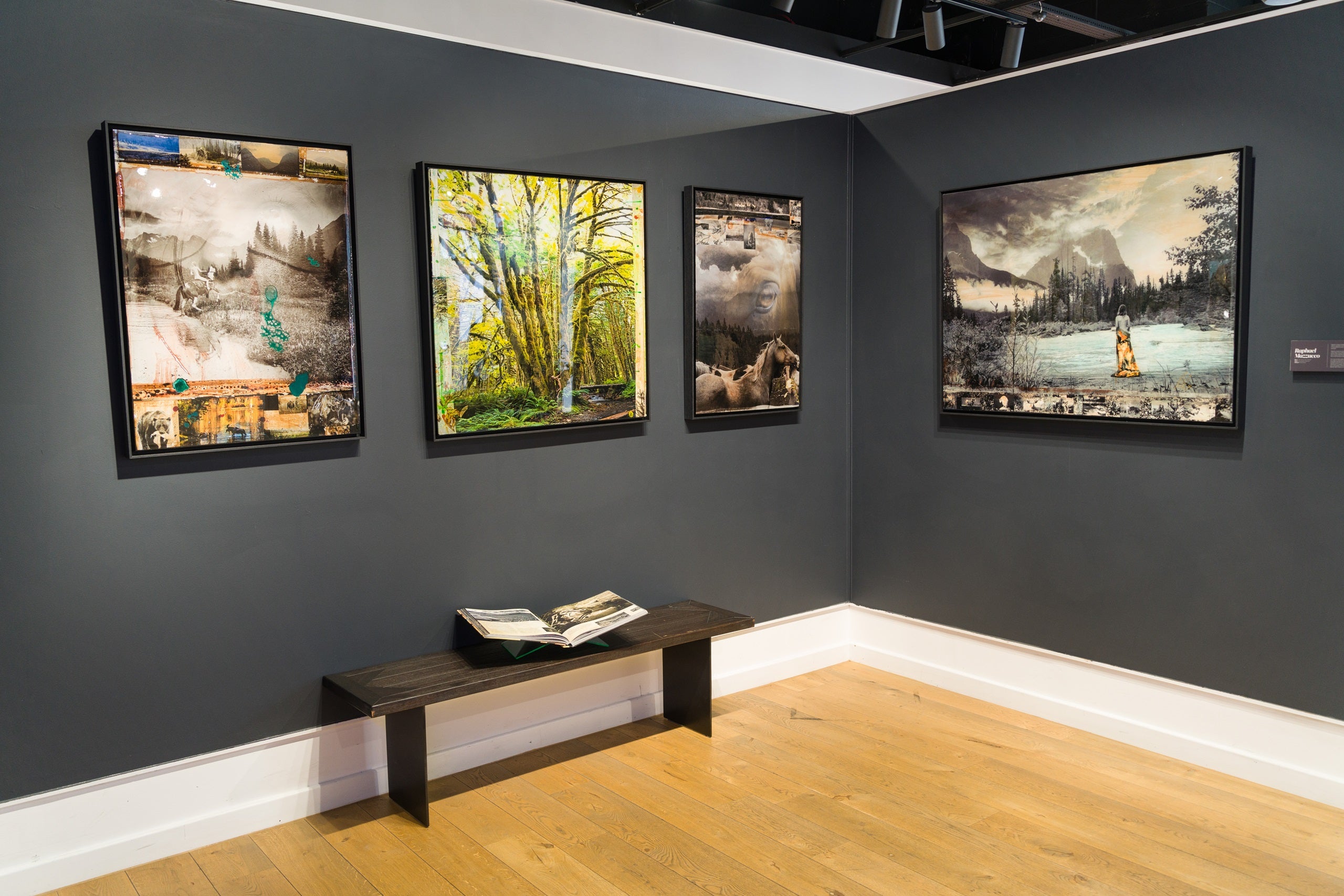 Product image 1 for raphael-mazzucco-homeward-bound