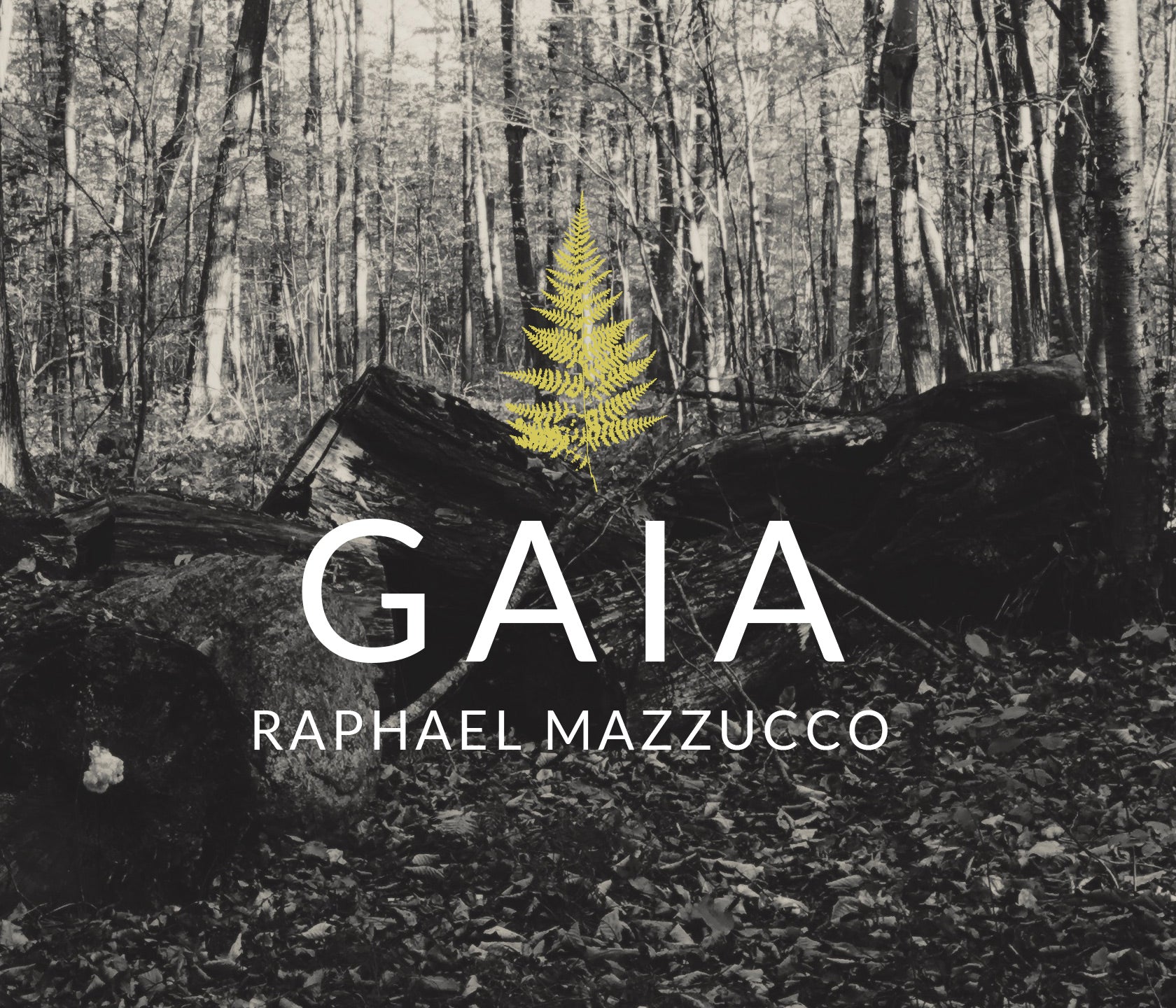 maz-blog-thumbnail-blank