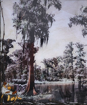 MAZ Forbidden Swamp Box