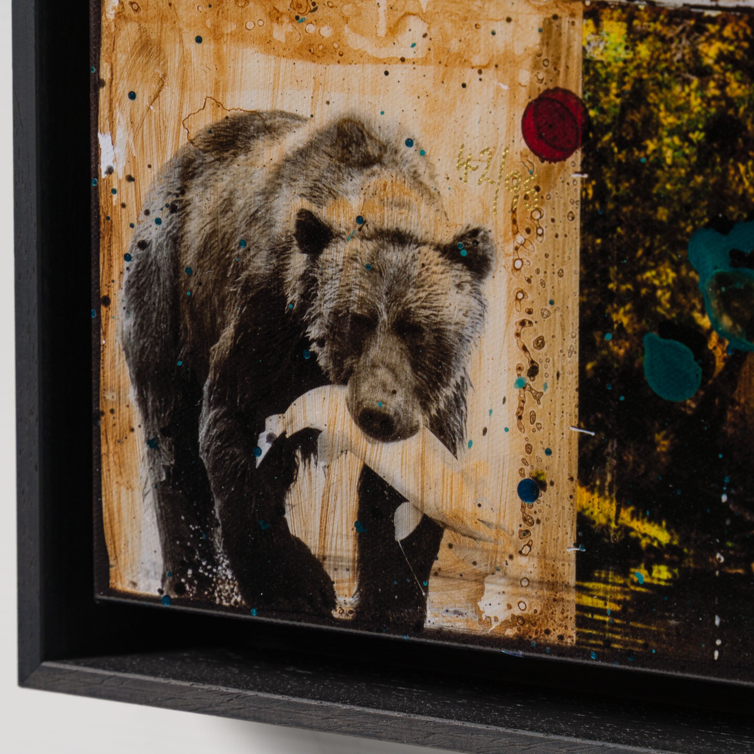 MAZ Homeward Bound 4