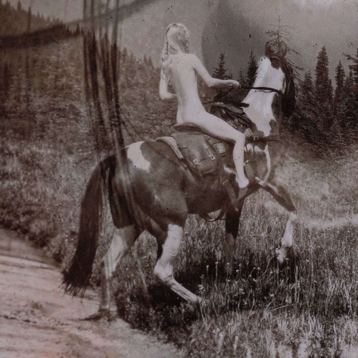 MAZ Homeward Bound 5