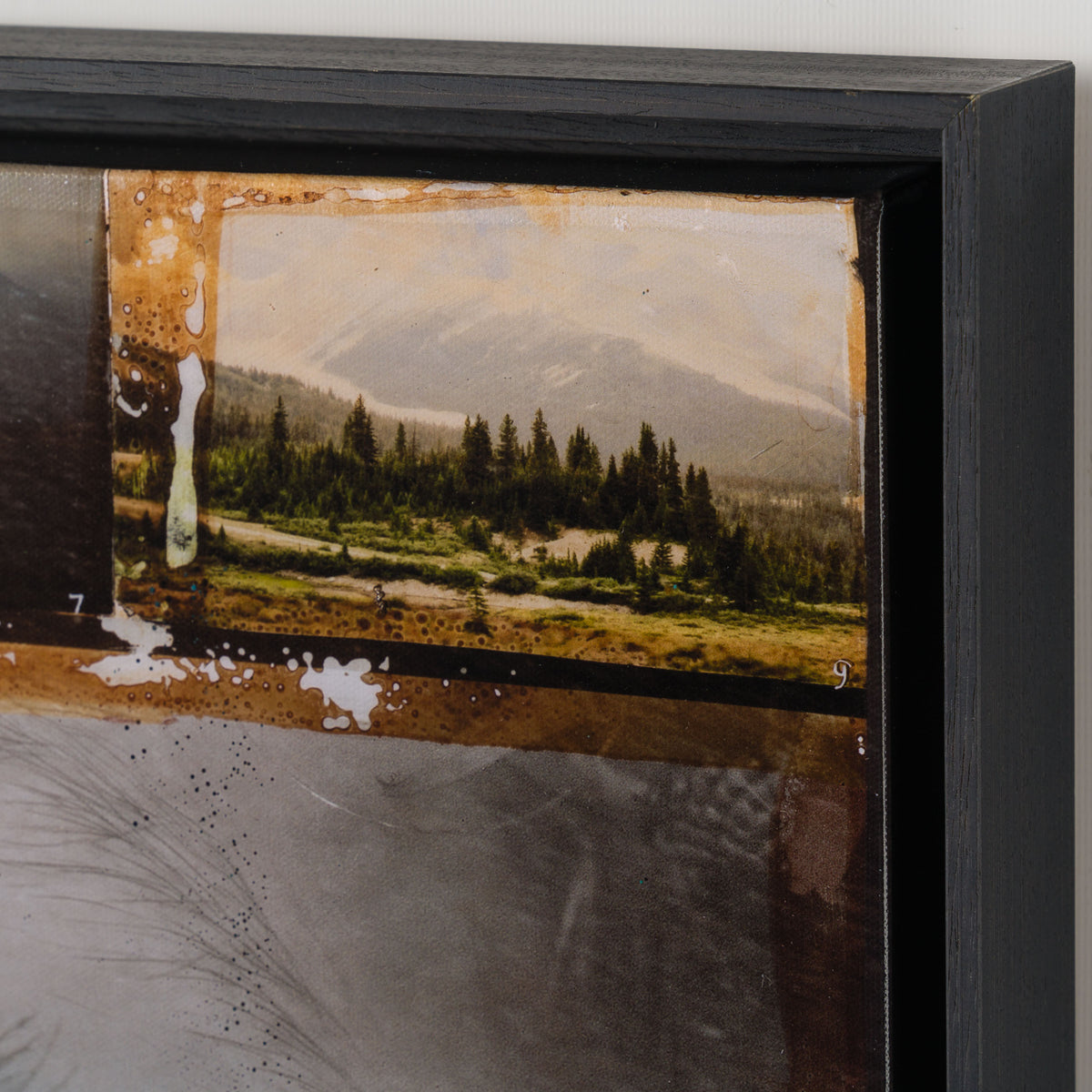 MAZ Homeward Bound 6