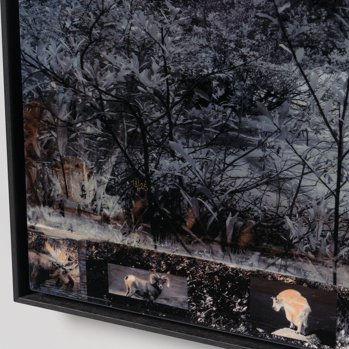 MAZ Motherland (Boutique) 5