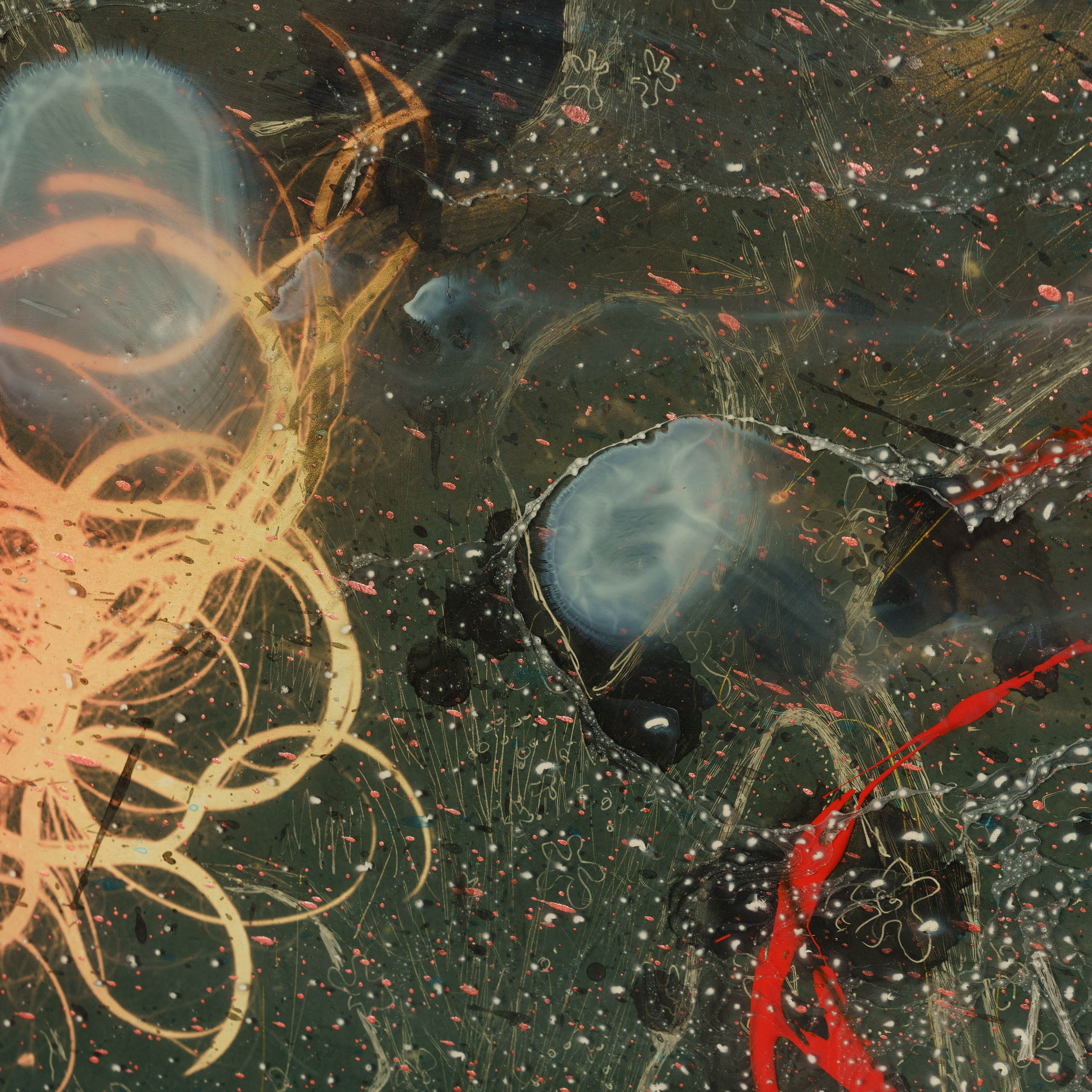 MAZ ORI POR 08605 7 My Dream Is To Follow You