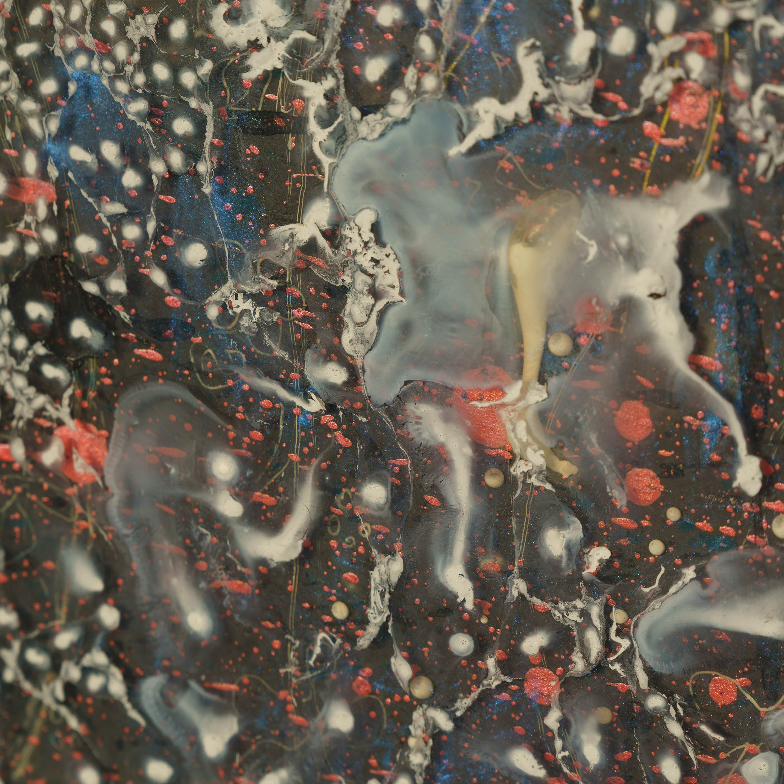 MAZ ORI POR 08605 9 My Dream Is To Follow You