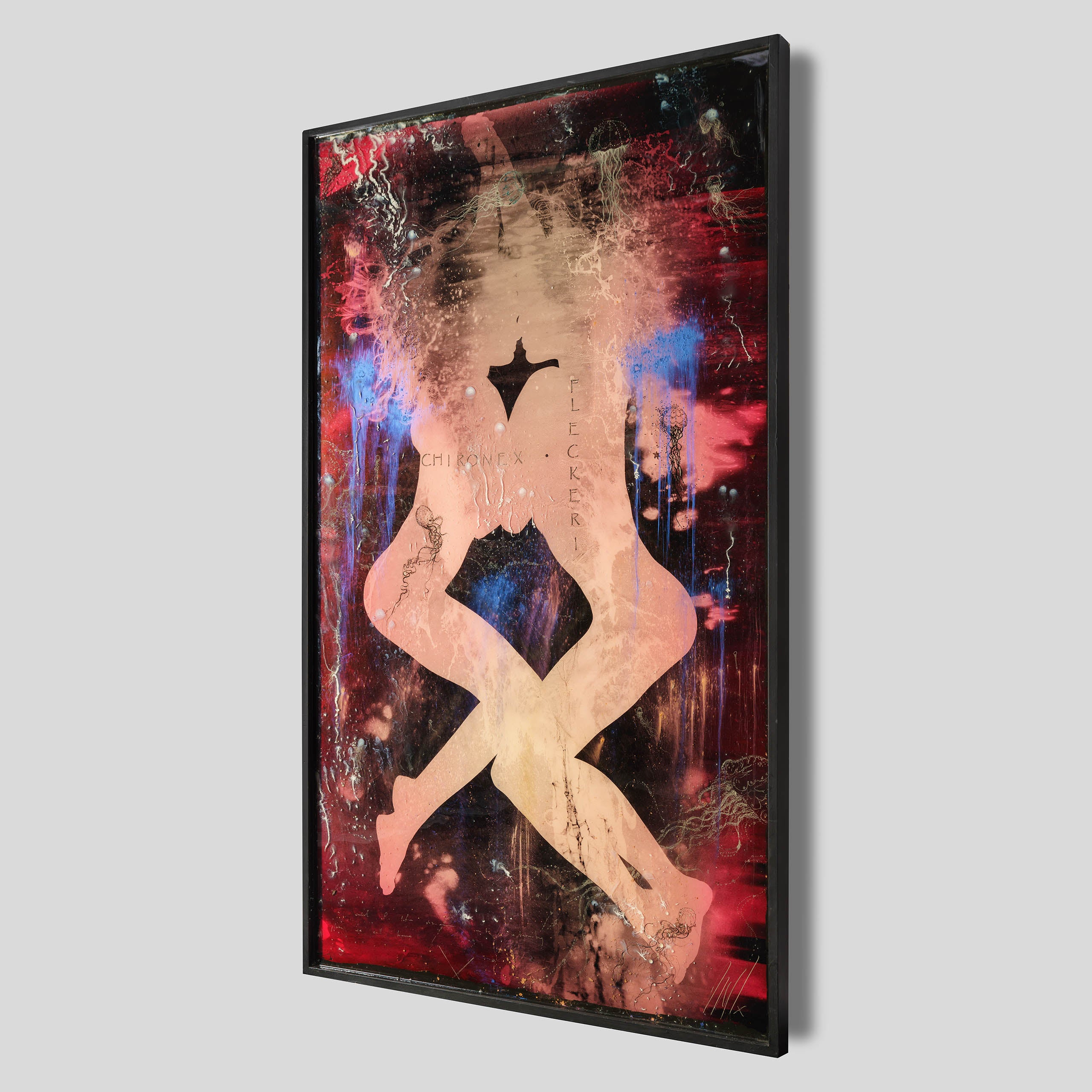 MAZ ORI POR 08607 2 Jellyfish