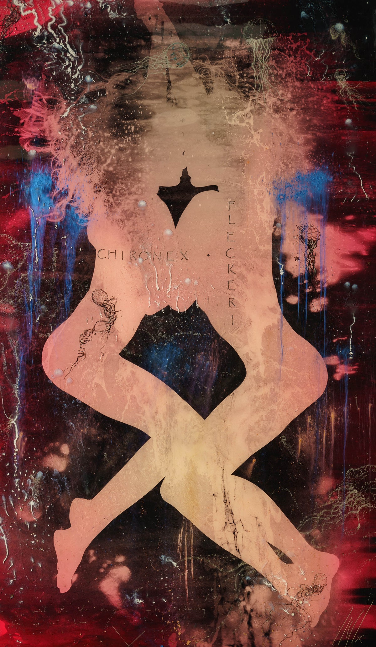 MAZ ORI POR 08607 3 Jellyfish