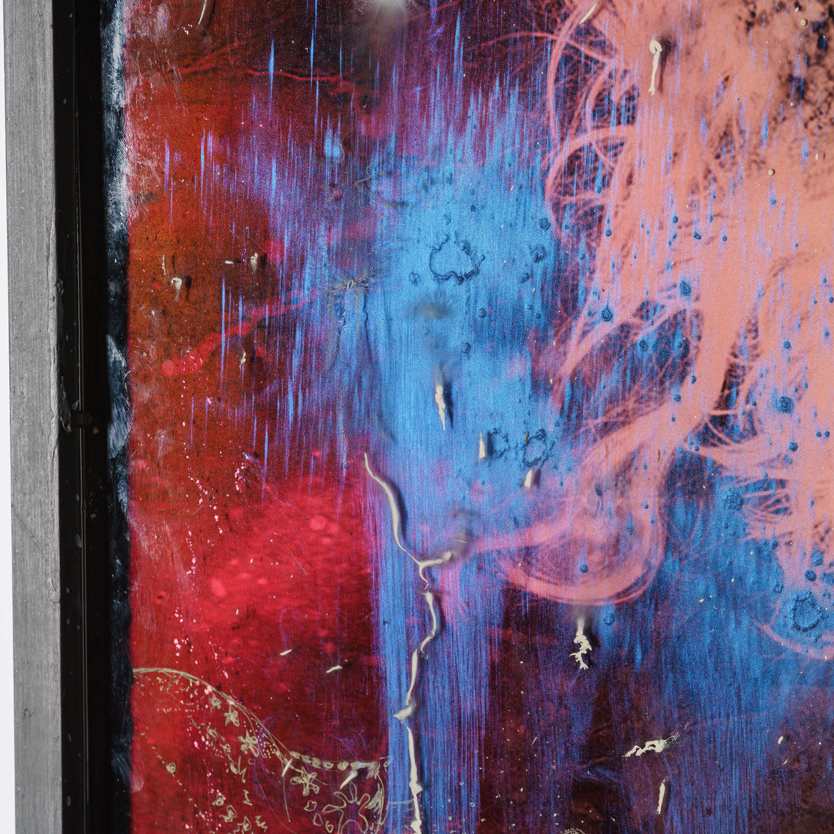 MAZ ORI POR 08607 6 Jellyfish