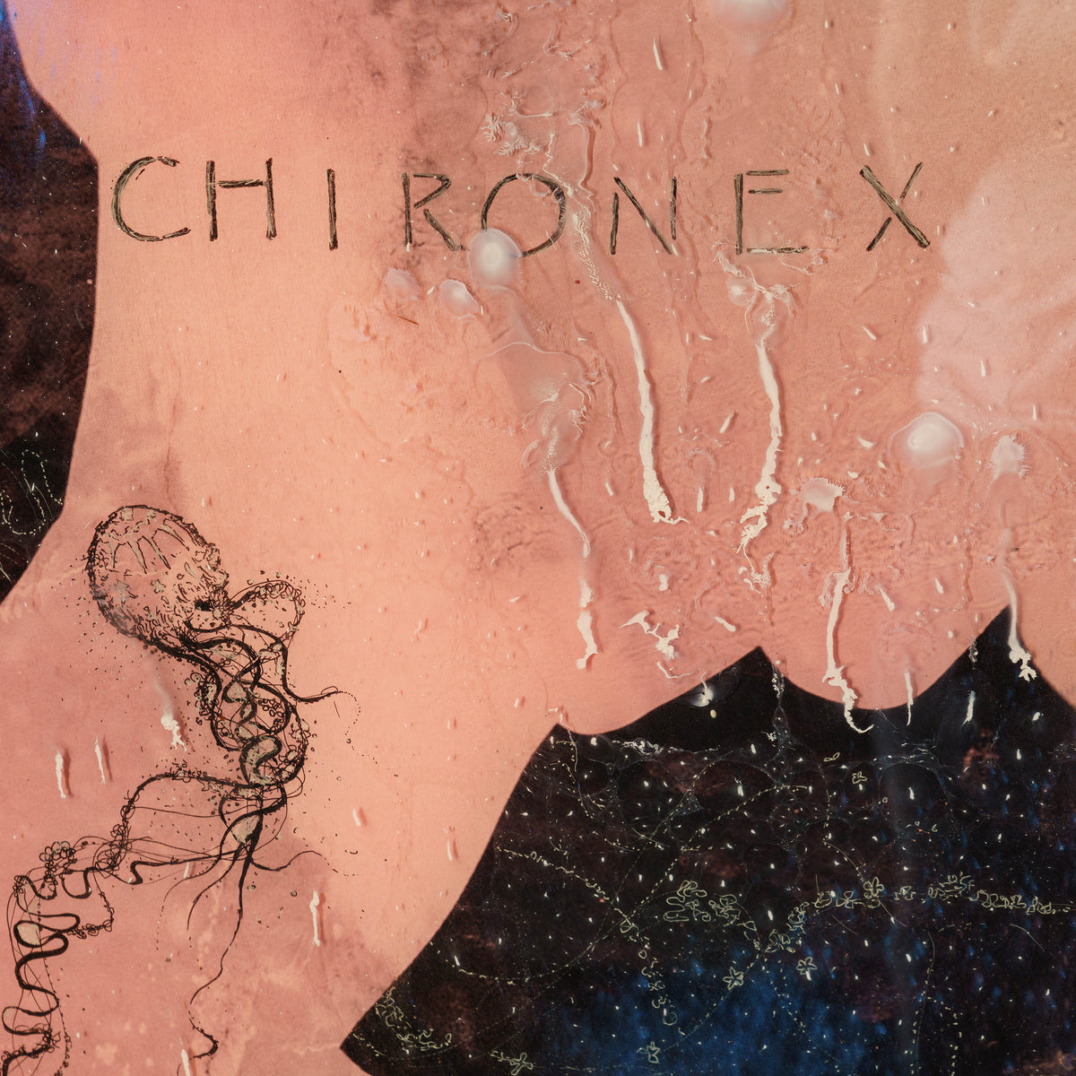 MAZ ORI POR 08607 9 Jellyfish