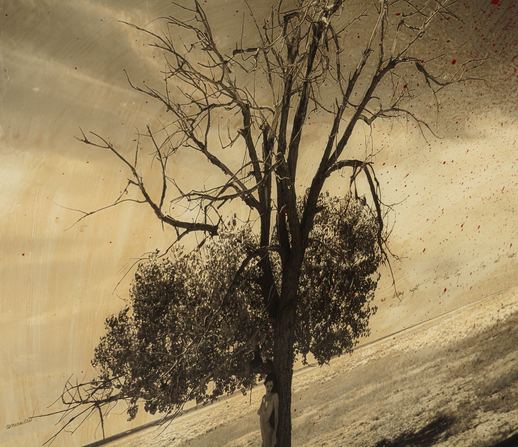 MAZ ORI POR 14216 7 A New Day