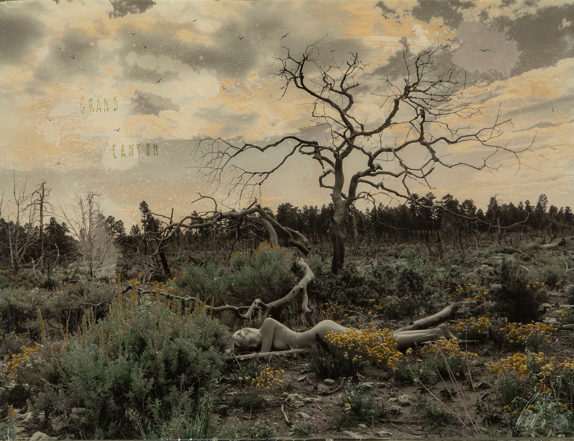 MAZ ORI POR 14235 3 Grand Canyon 1