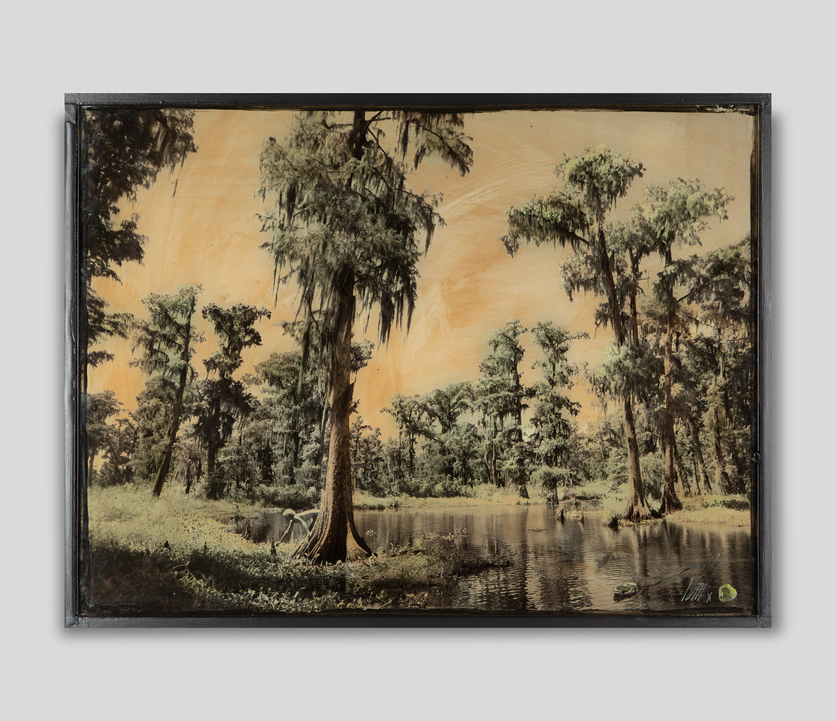 MAZ ORI POR 14243 1 Louisianna