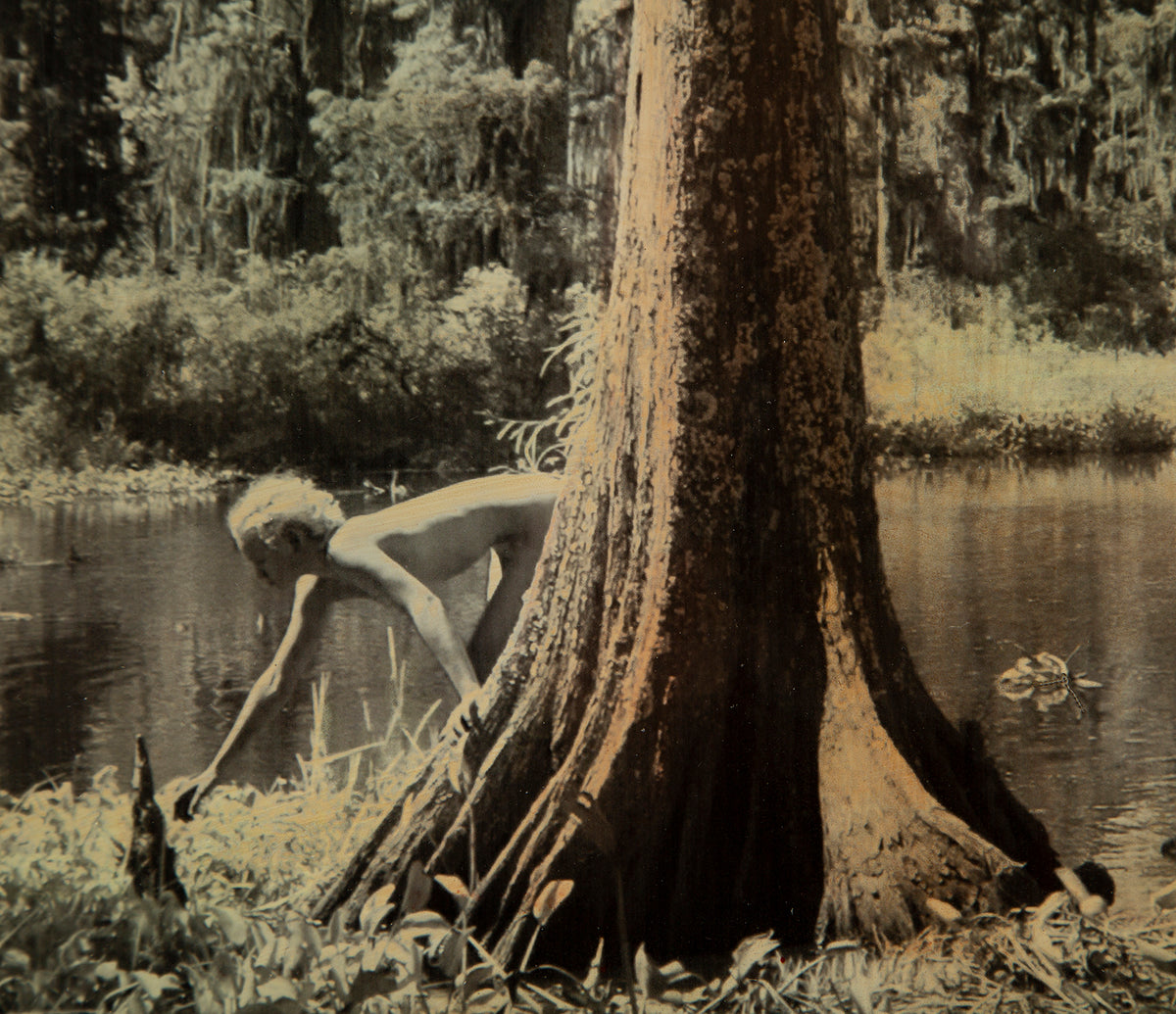 MAZ ORI POR 14243 3 Louisianna