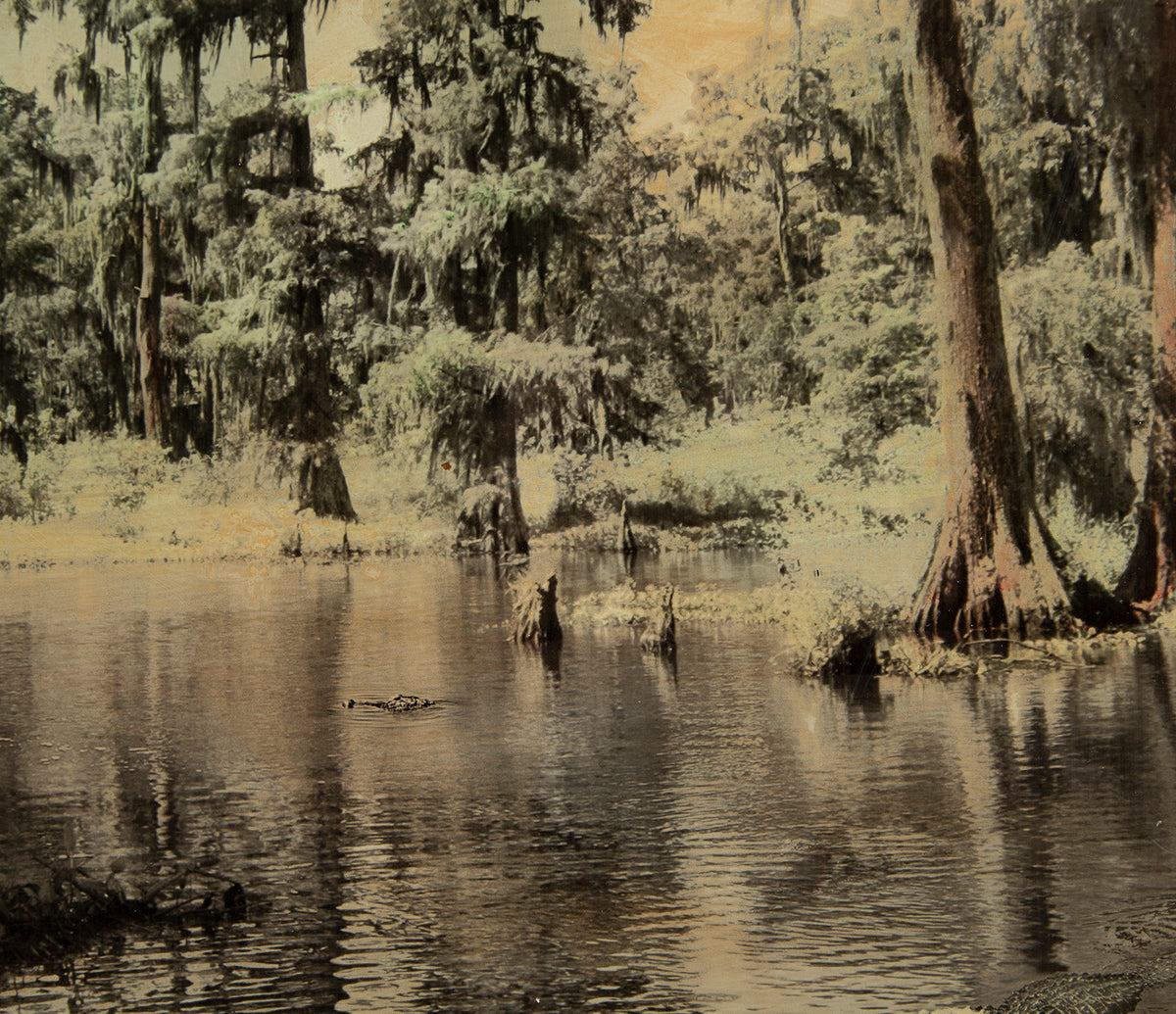 MAZ ORI POR 14243 4 Louisianna