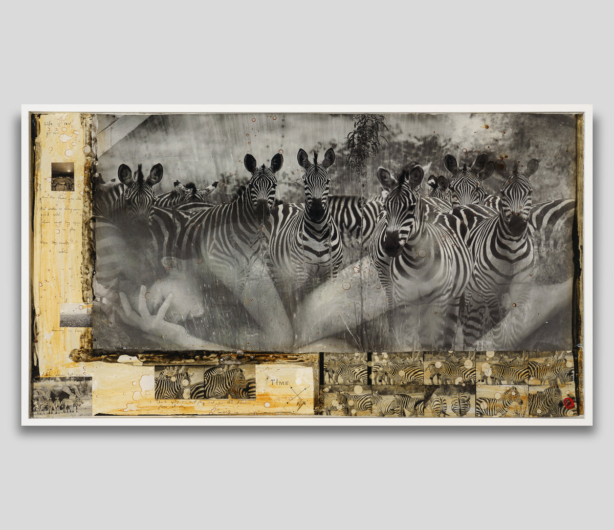 MAZ ORI POR 26889 1 Way Of The Zebra