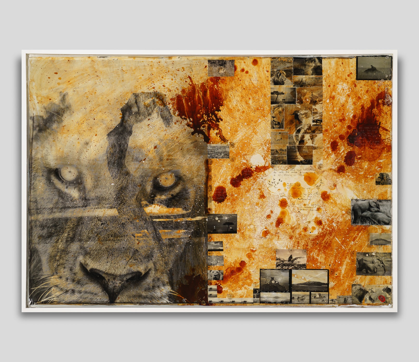 MAZ ORI POR 26894 1 Free Spirit