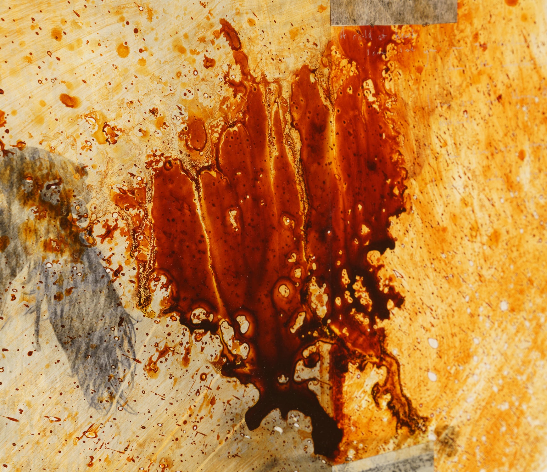 MAZ ORI POR 26894 11 Free Spirit