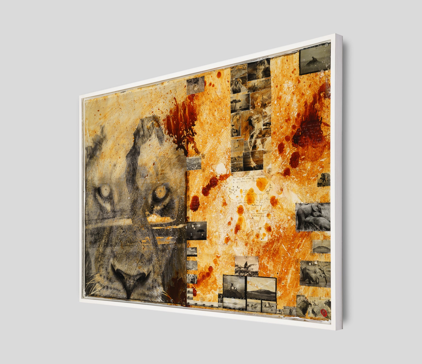 MAZ ORI POR 26894 2 Free Spirit