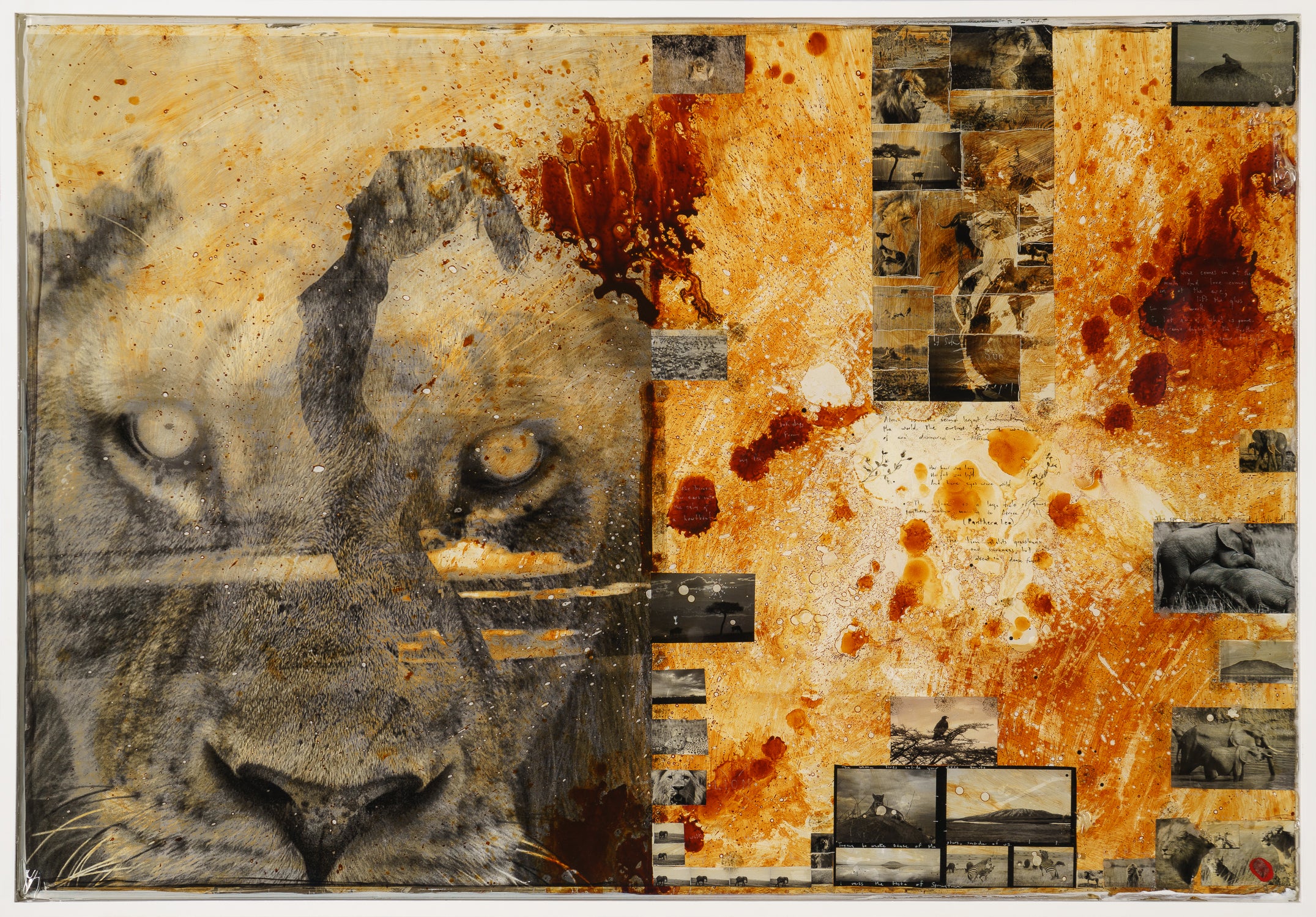 MAZ ORI POR 26894 4 Free Spirit