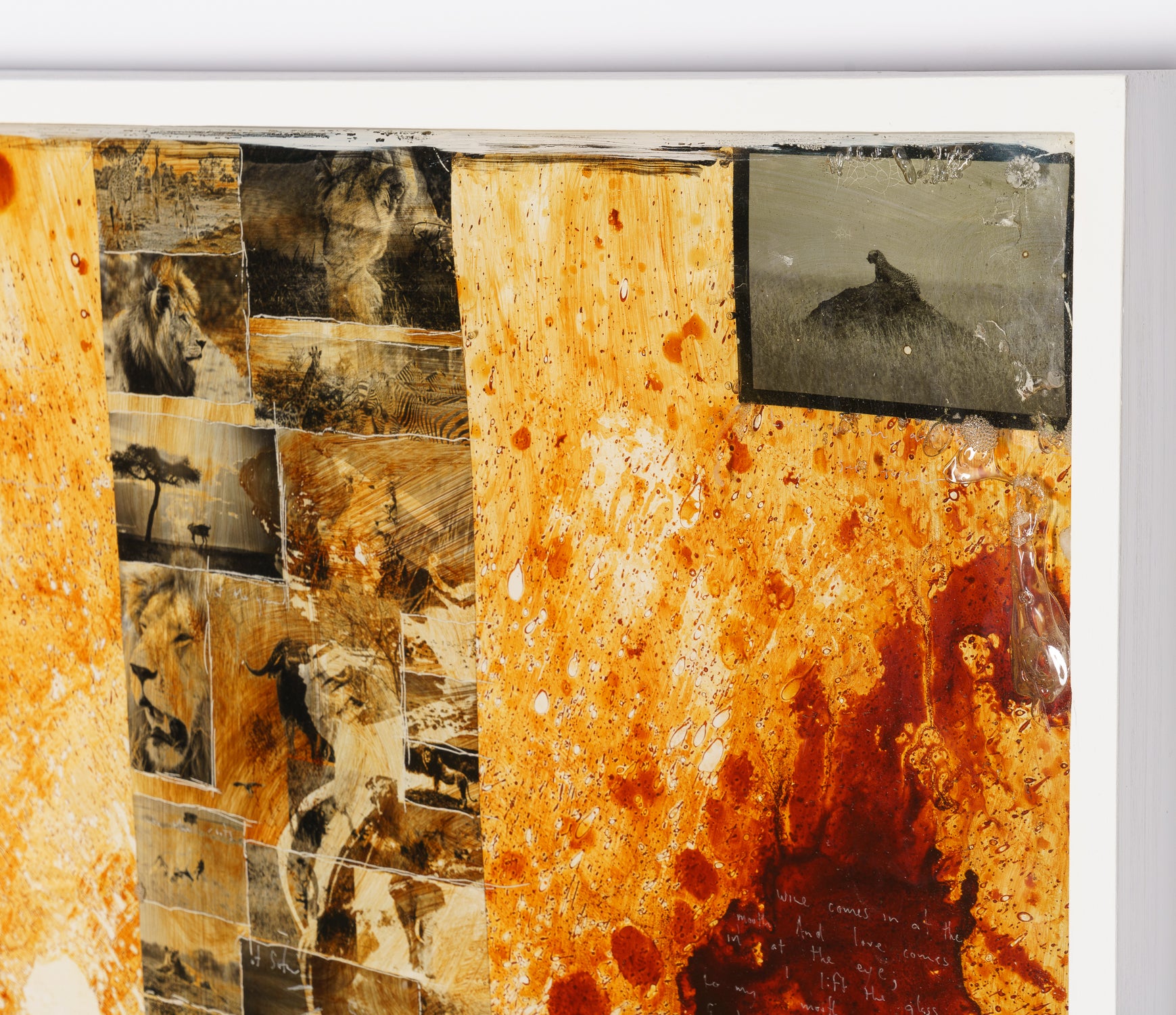 MAZ ORI POR 26894 6 Free Spirit