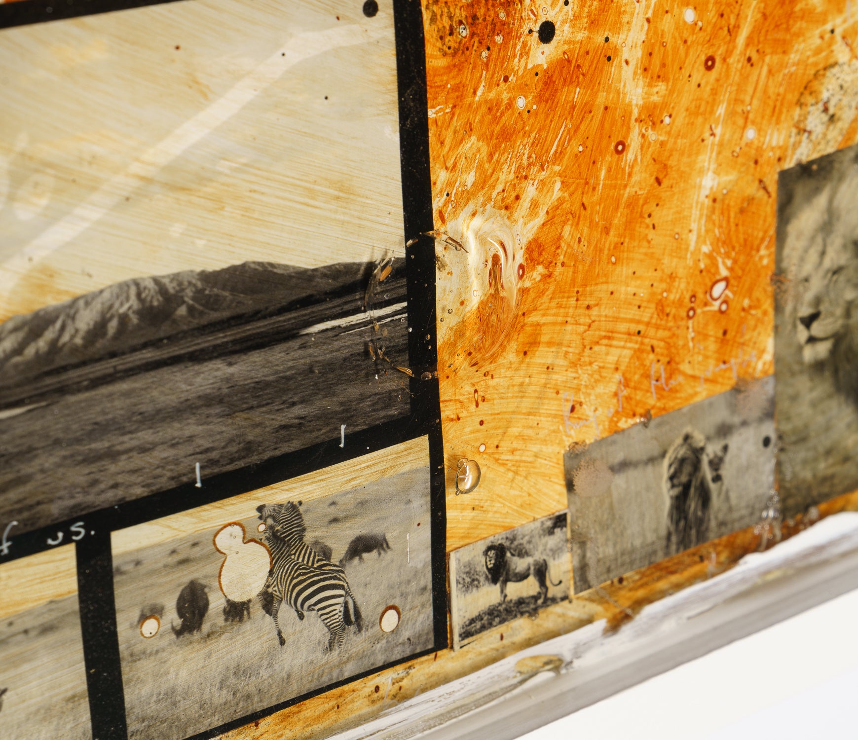 MAZ ORI POR 26894 9 Free Spirit