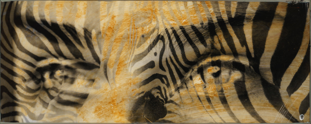 MAZ ORI POR 28234 3 Amani