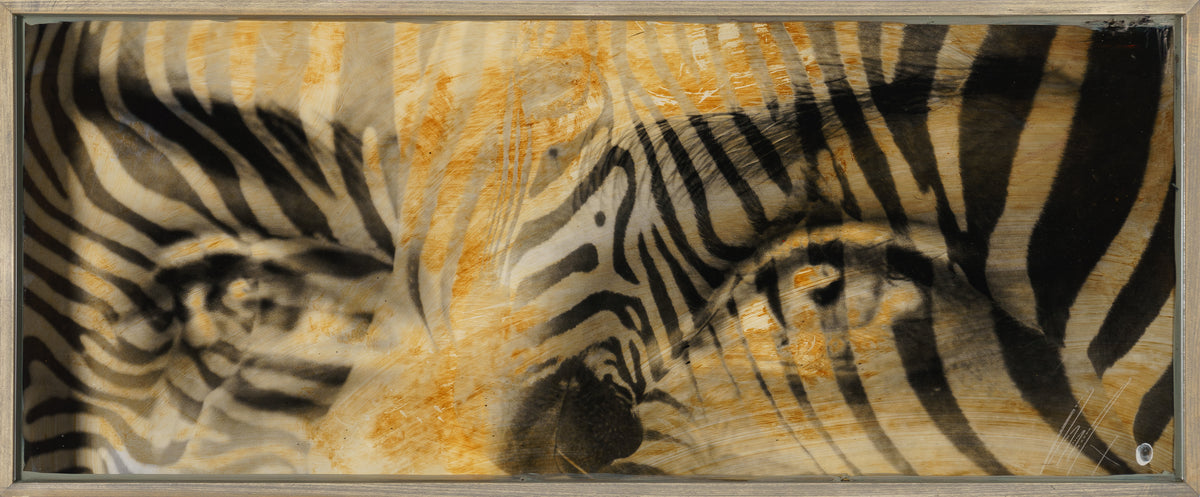 MAZ ORI POR 28234 4 Amani