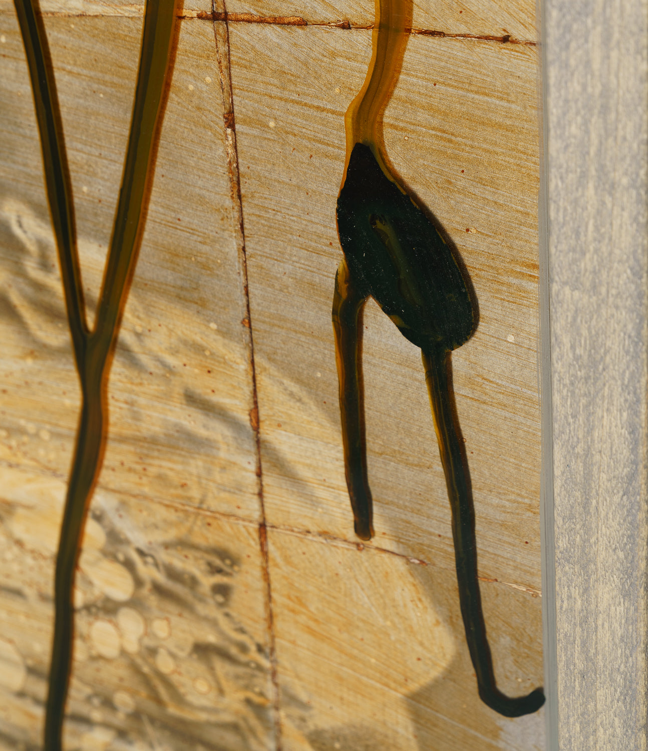 MAZ ORI POR 28238 6 Jangwa Malkia(2)