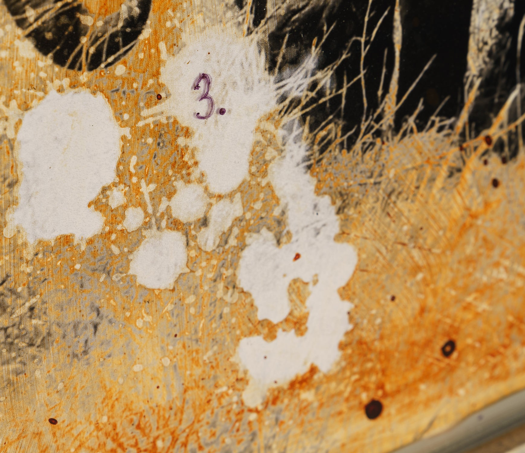 MAZ ORI POR 28242 7 Kuhiji