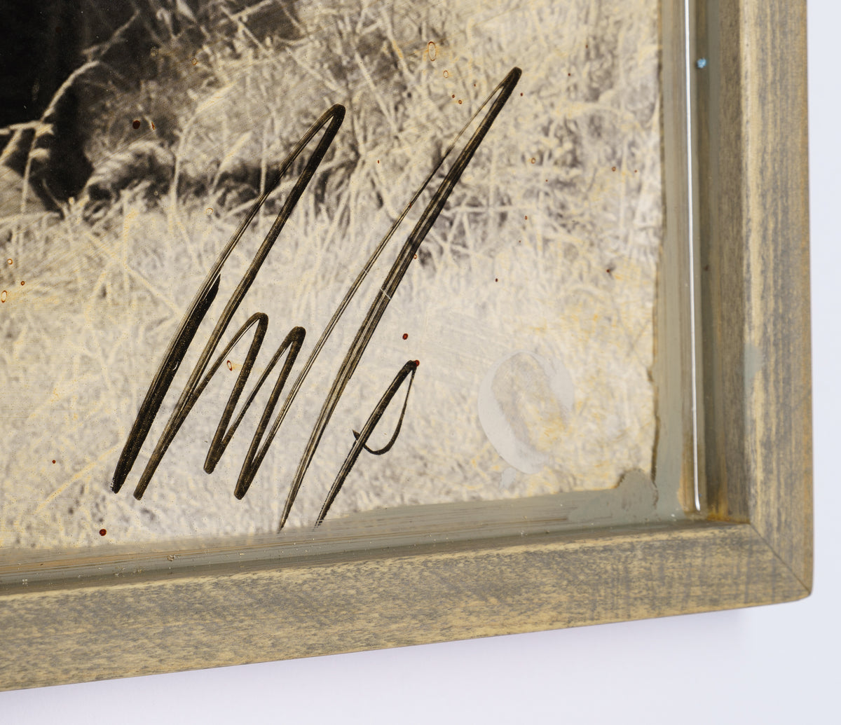 MAZ ORI POR 28242 8 Kuhiji