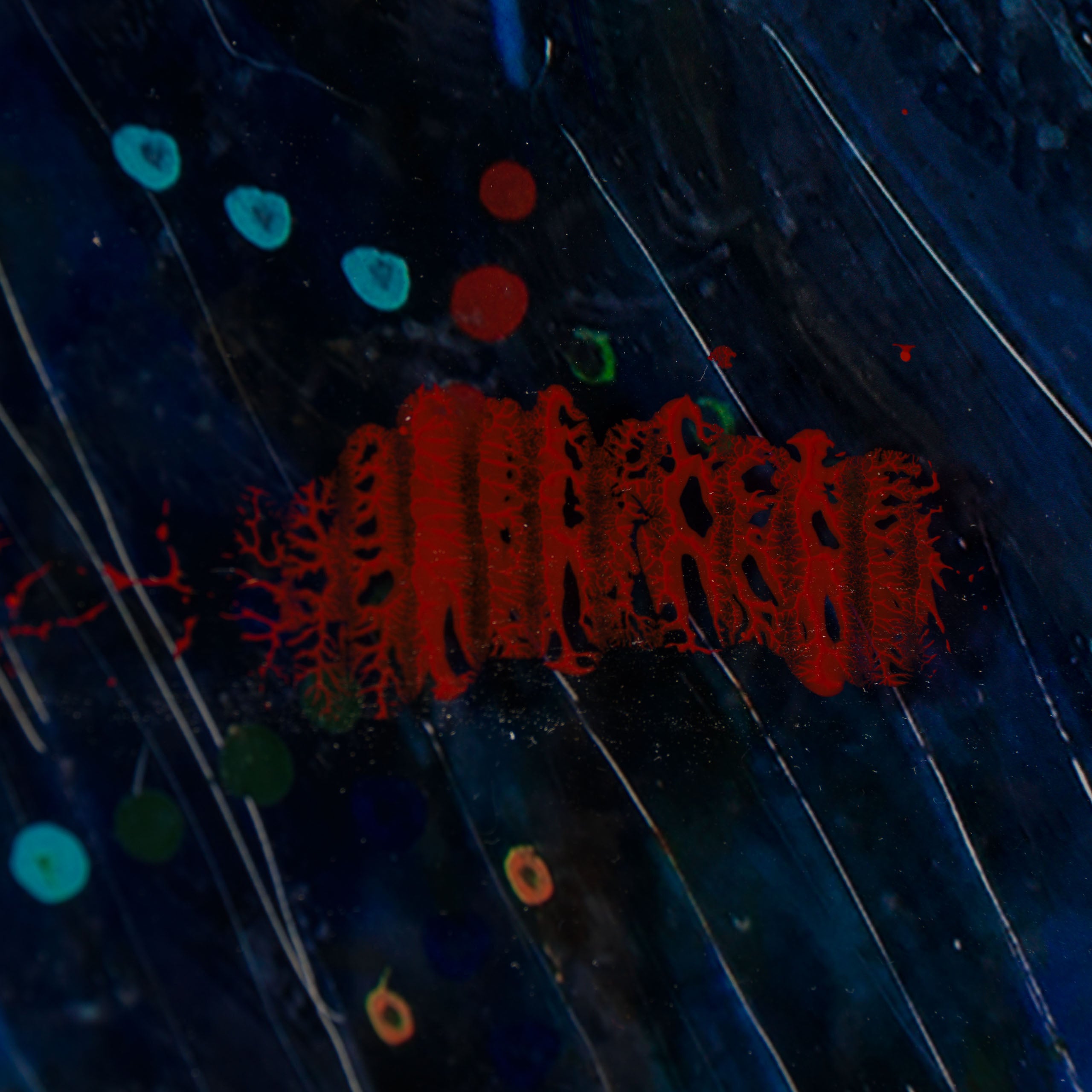 MAZ ORI POR 30609 6 Kigeni I Nyekundu (Red)