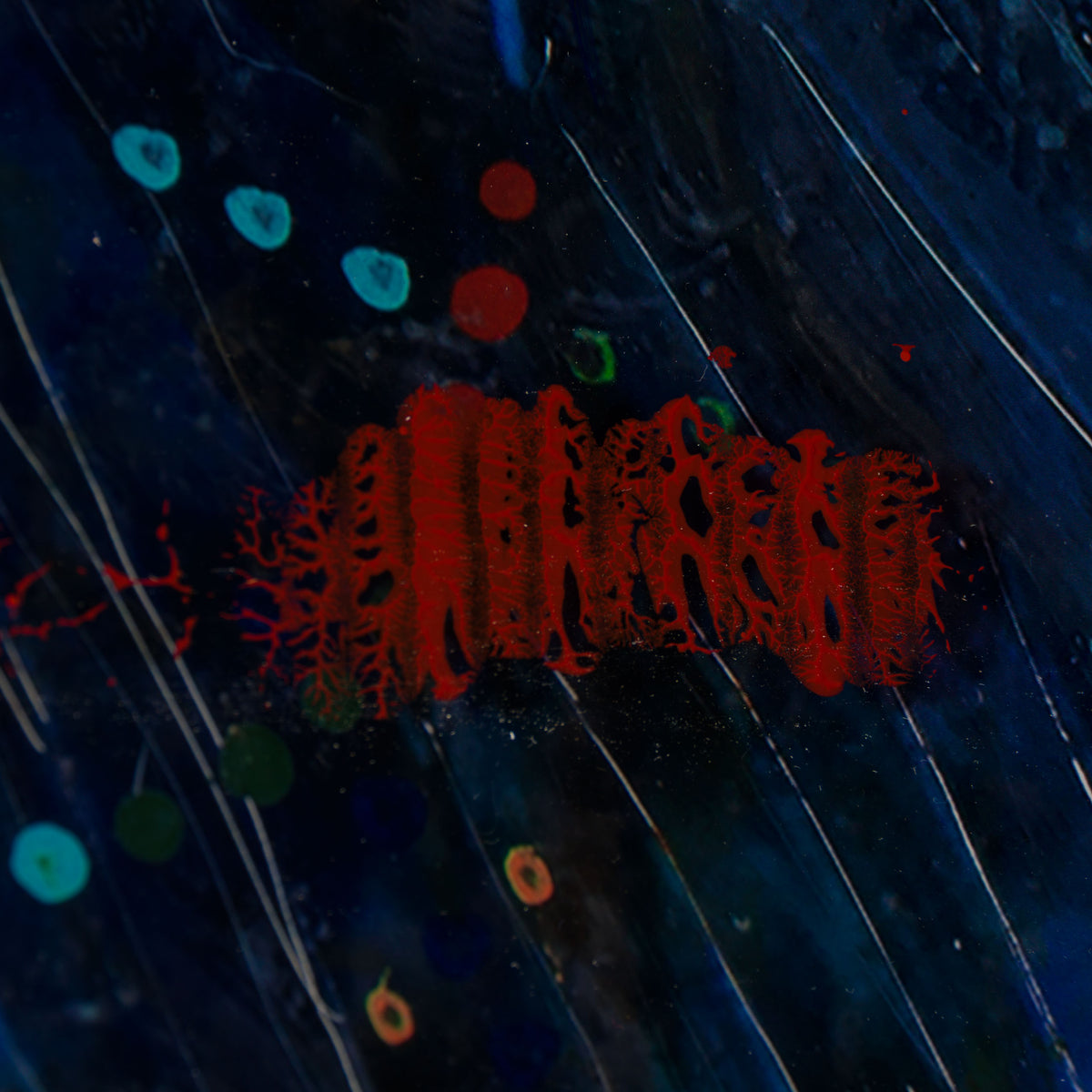 MAZ ORI POR 30609 6 Kigeni I Nyekundu (Red)