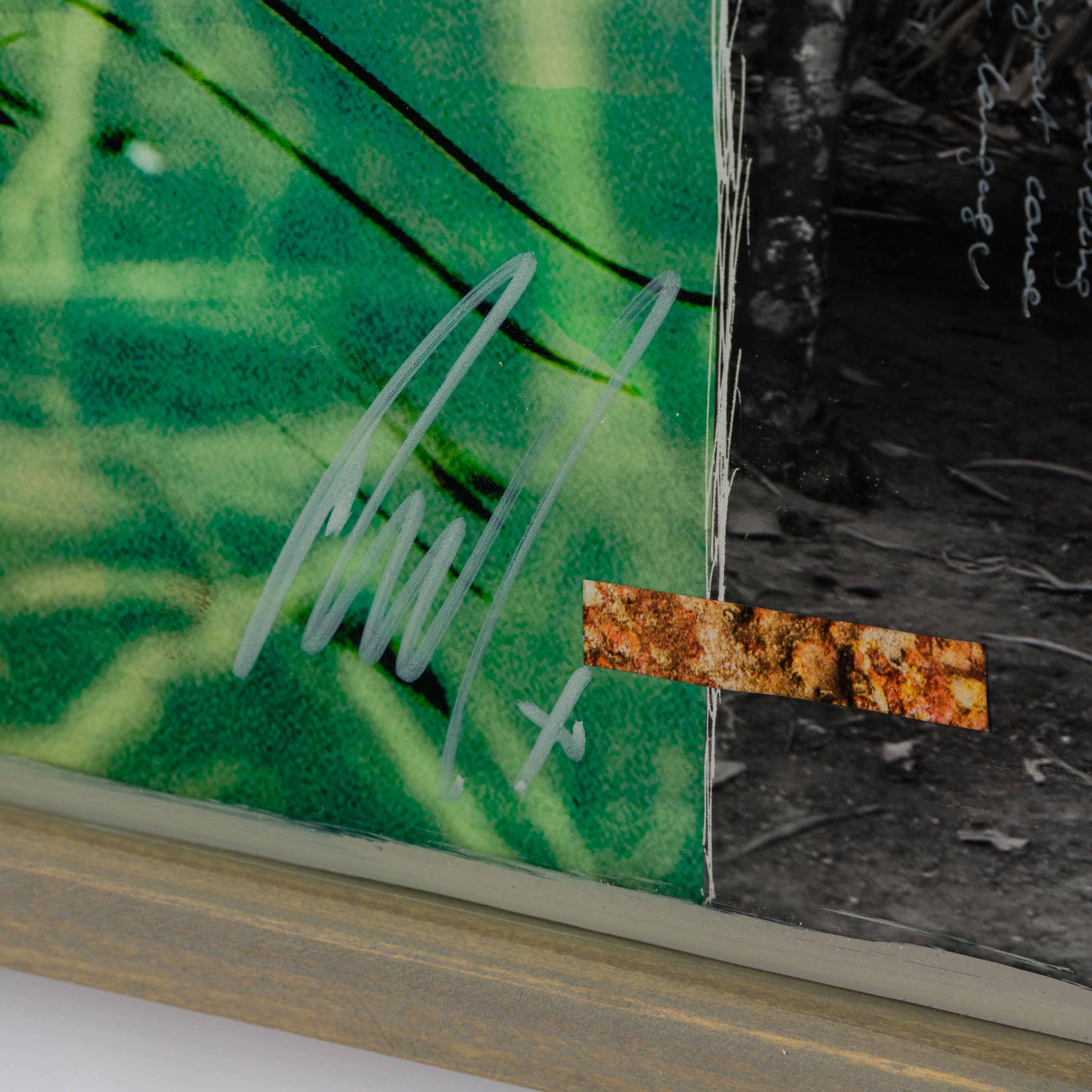 MAZ ORI POR 30617 3 Paraiso (Paradise)