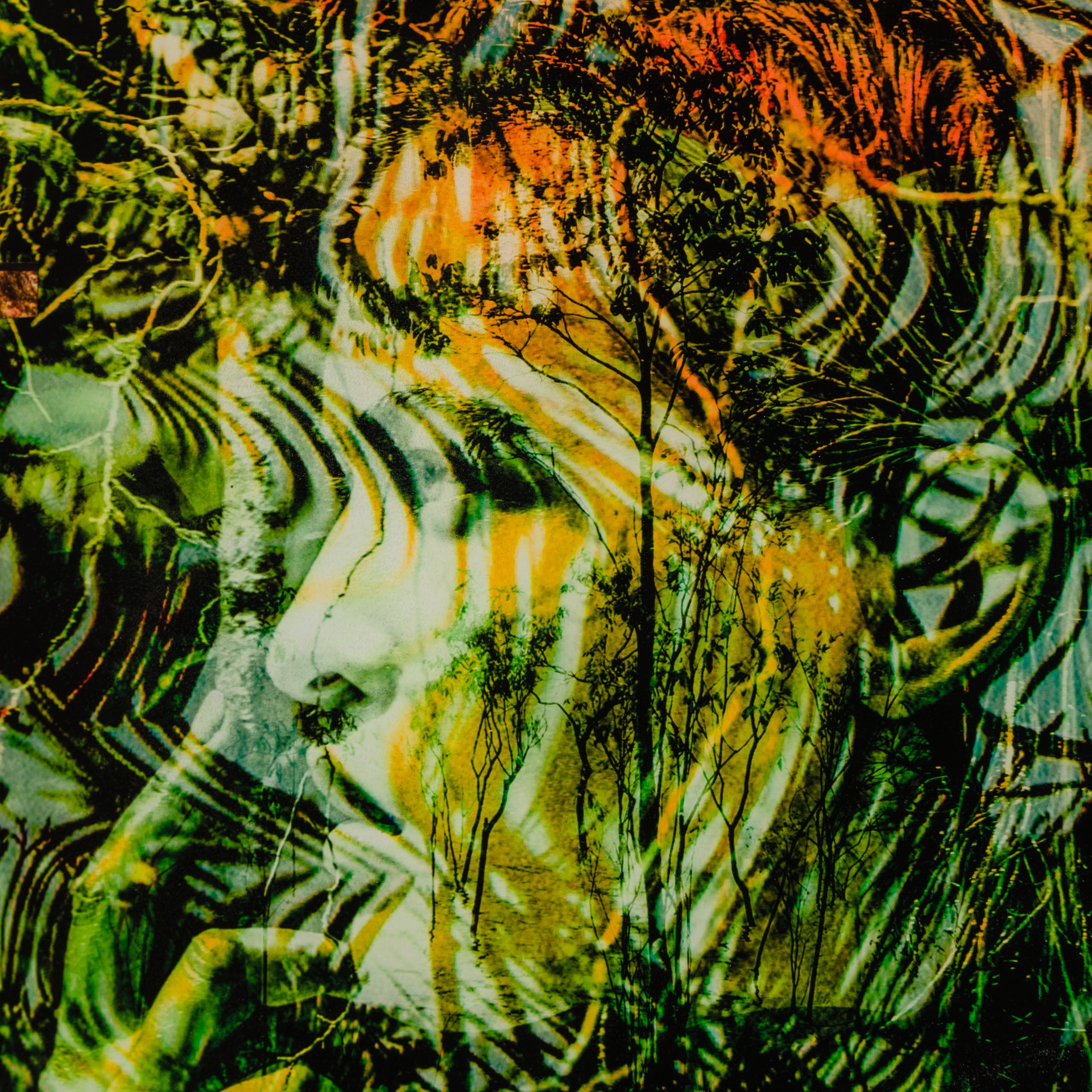 MAZ ORI POR 30617 6 Paraiso (Paradise)