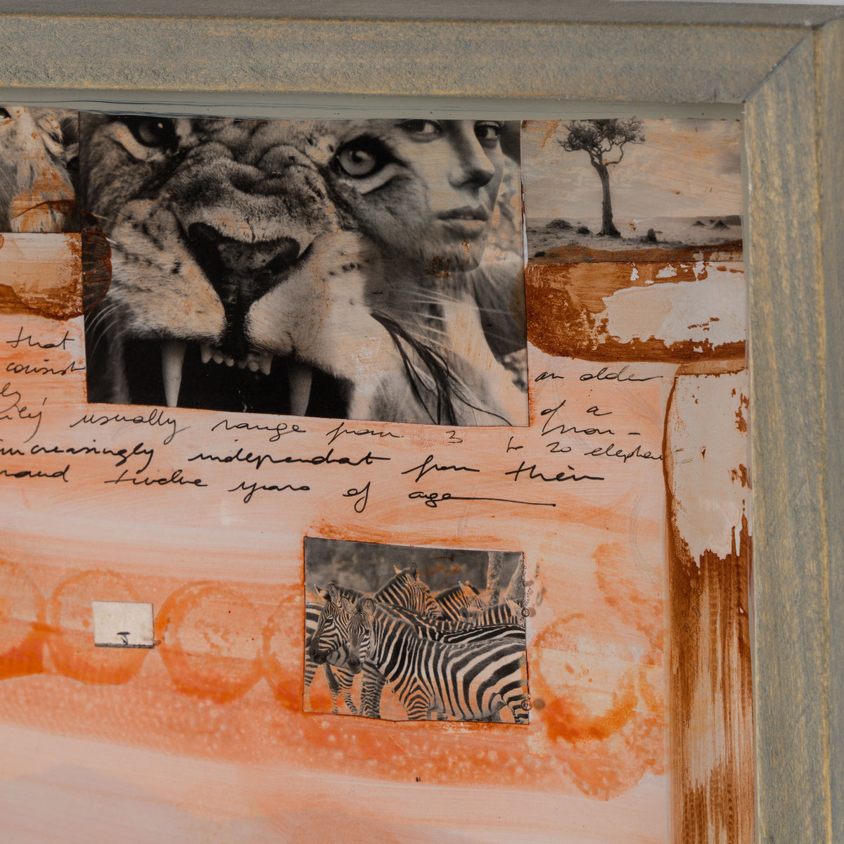 MAZ ORI POR 30618 4 Kutoroka (Escape)