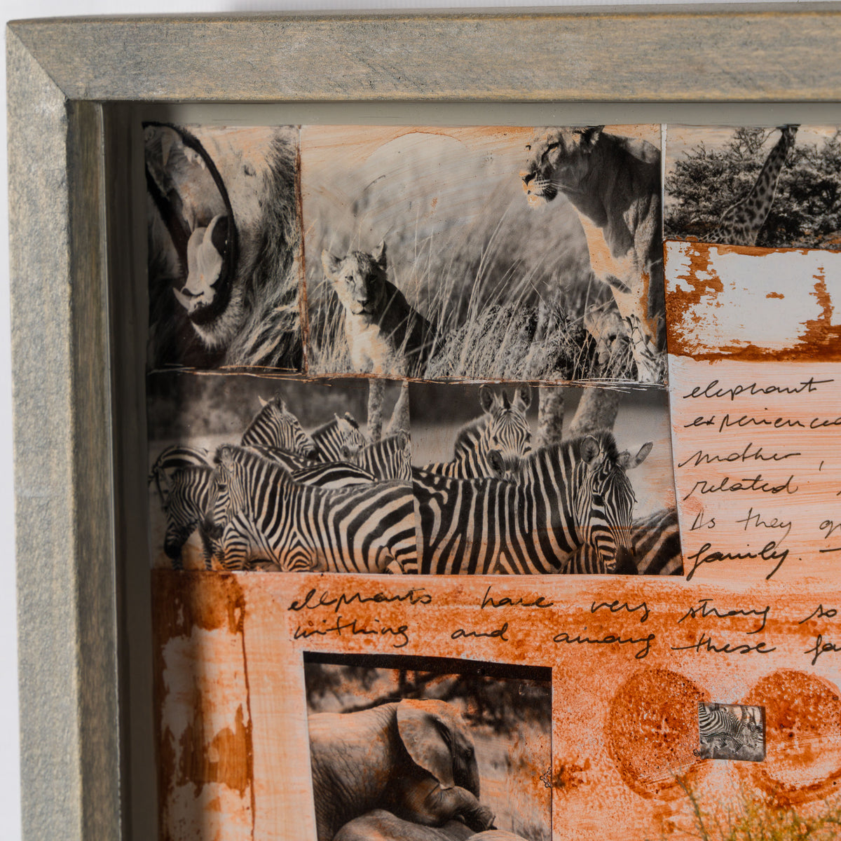 MAZ ORI POR 30618 5 Kutoroka (Escape)