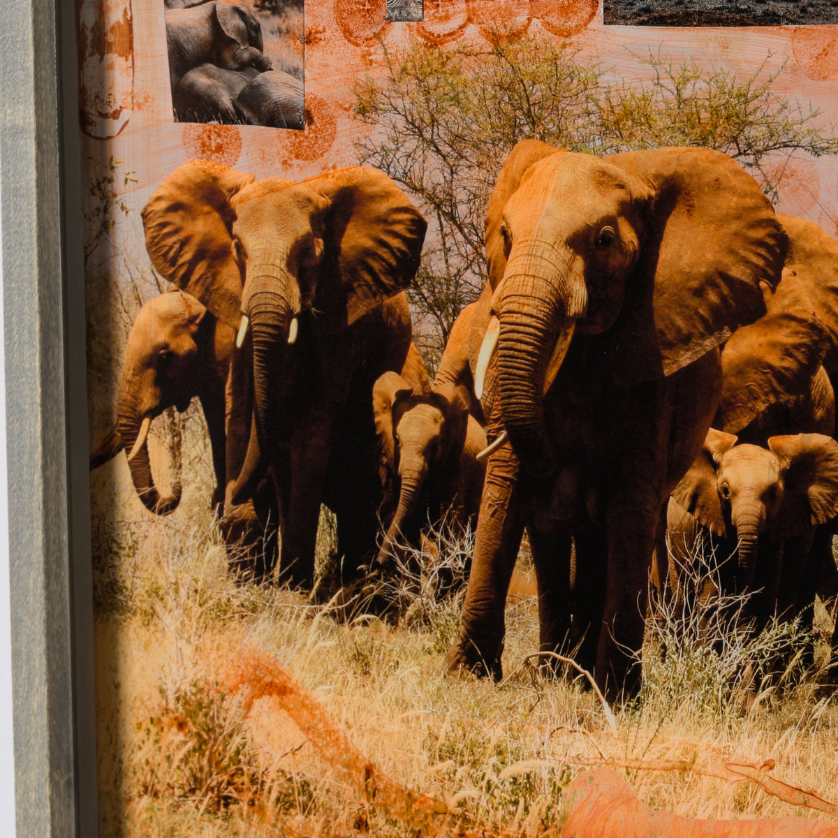 MAZ ORI POR 30618 6 Kutoroka (Escape)