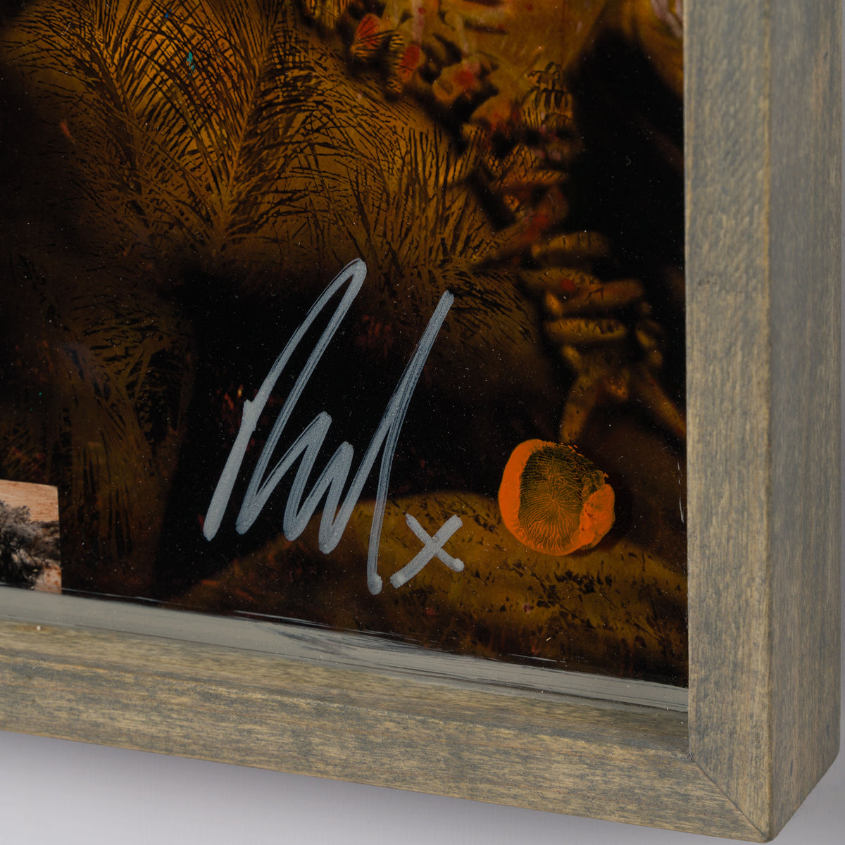 MAZ ORI POR 30619 3 Rituais (Rituals)